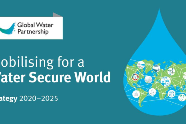 gwp-strategy2020-2025